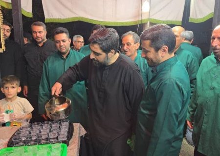 یازده شب عاشقی خادمیاران رضوی منطقه۵ در موکب‌های پذیرایی حسینیه ریحانةالحسین(س)