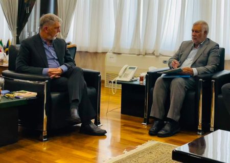 پیگیری مطالبات اهالی فرهنگ، هنر و رسانه دیارکریمان در دیدار شهباز حسن‌پور با وزیر فرهنگ و ارشاد اسلامی