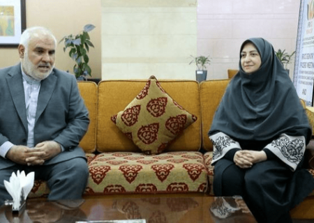 هند، میزبان اجلاس وزیران محیط زیست بریکس