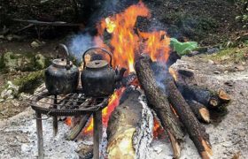 کاهش ۸۳ درصدی آتش سوزی در مناطق جنگلی